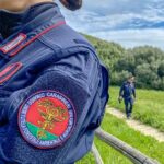 Italia Nostra esprime grave preoccupazione per l’abbattimento di 870 piante di pino d’Aleppo a Crucoli (Kr)