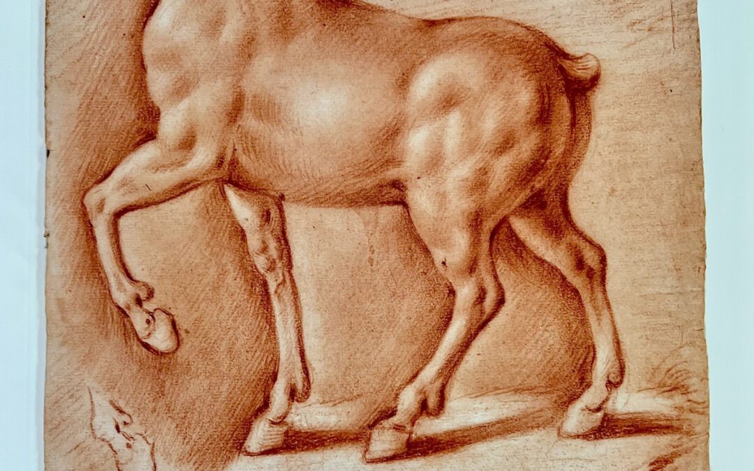 Il “cavallo ideale” di Leonardo da Vinci
